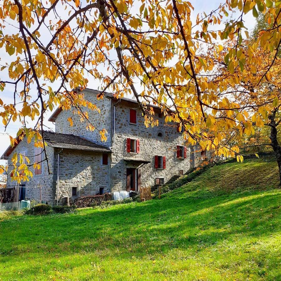 Ca Gennara Agri B&B 포레타테르메 외부 사진