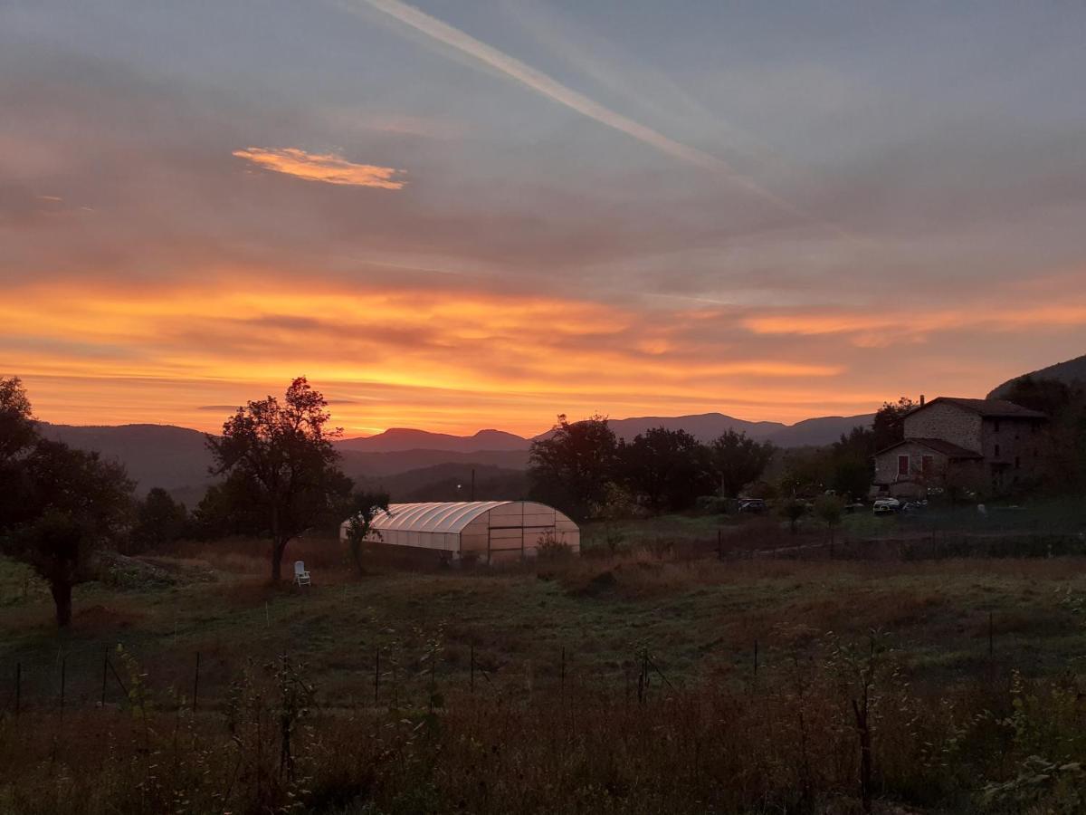 Ca Gennara Agri B&B 포레타테르메 외부 사진