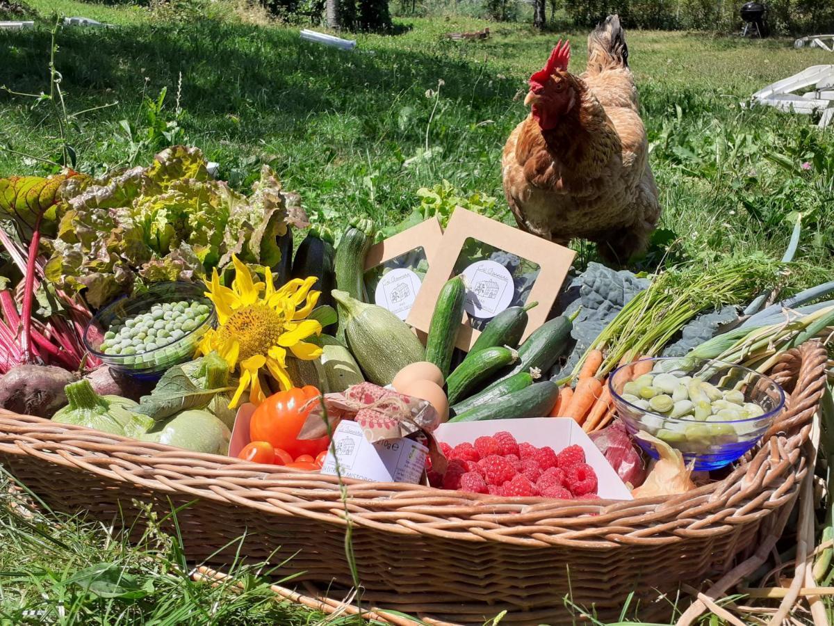 Ca Gennara Agri B&B 포레타테르메 외부 사진