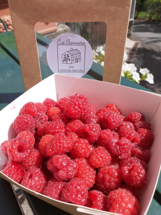 Ca Gennara Agri B&B 포레타테르메 외부 사진