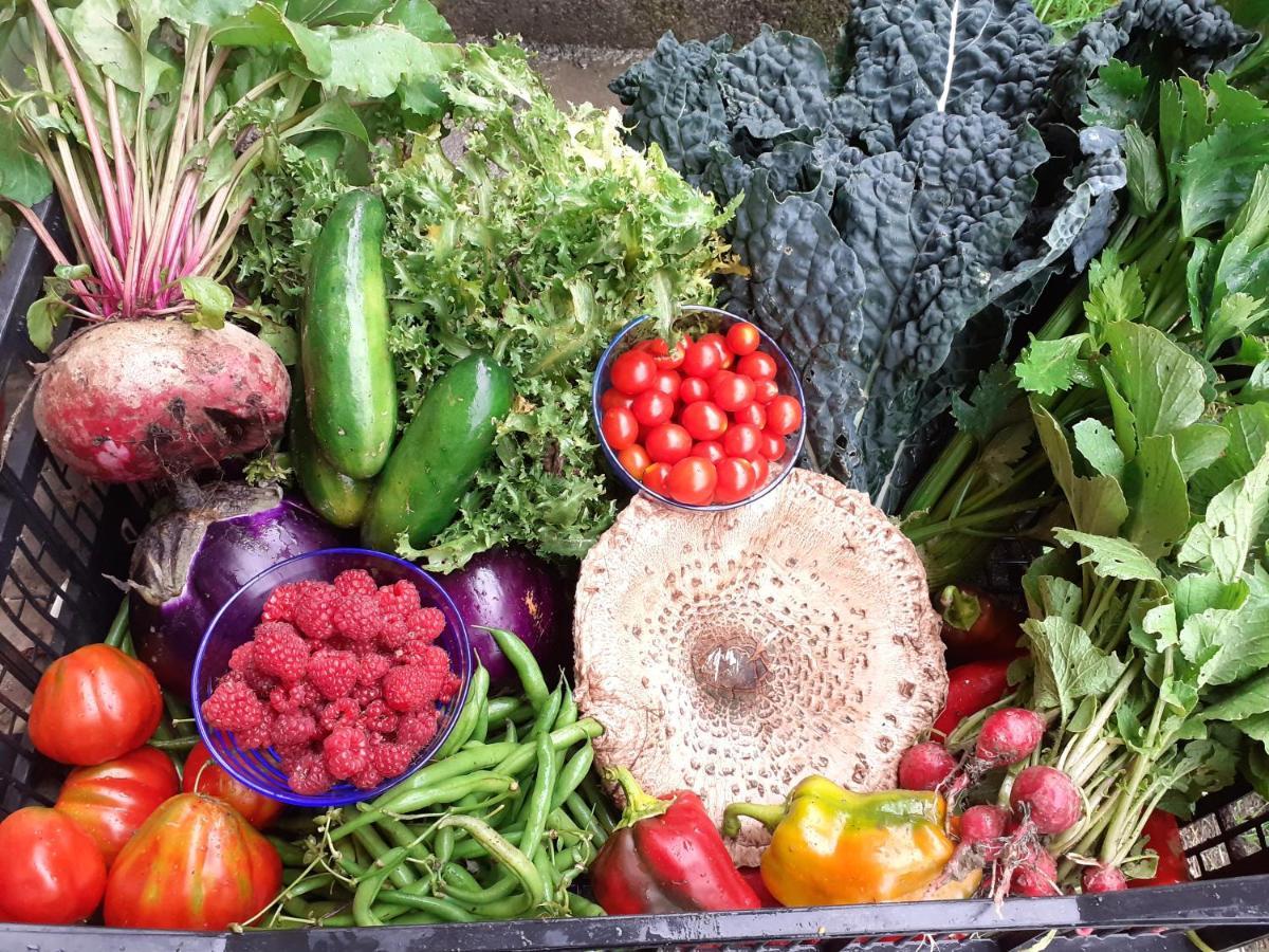 Ca Gennara Agri B&B 포레타테르메 외부 사진