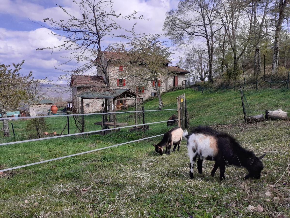Ca Gennara Agri B&B 포레타테르메 외부 사진