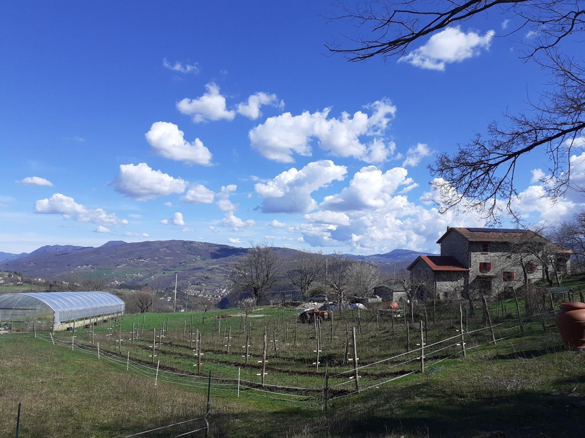 Ca Gennara Agri B&B 포레타테르메 외부 사진