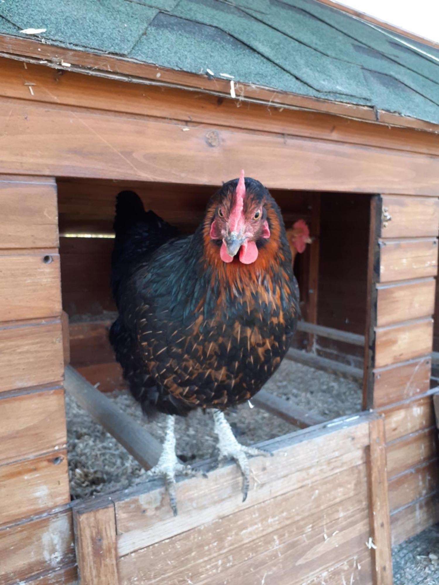 Ca Gennara Agri B&B 포레타테르메 외부 사진
